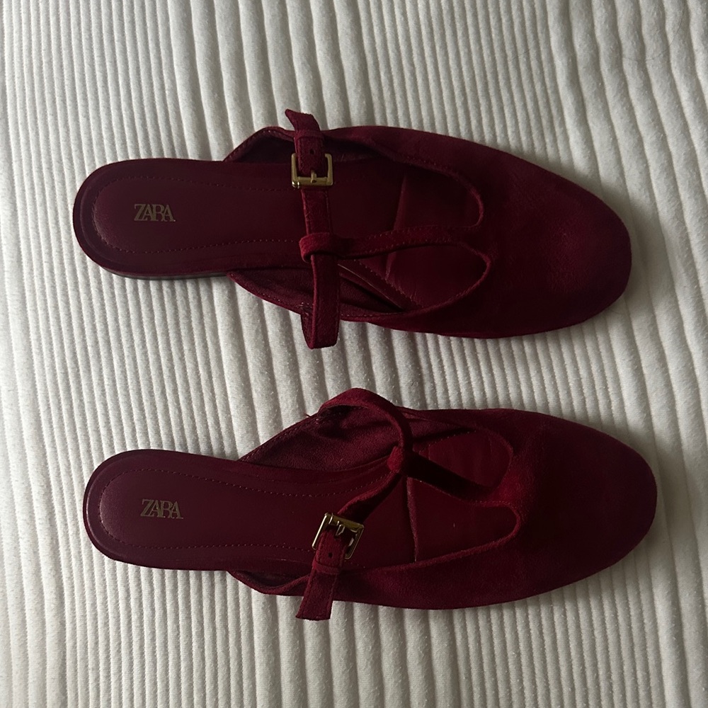 Zara Burgundy Suede Buckle Mules